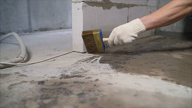 Crawl space vapor barrier installation in Wheaton, IL